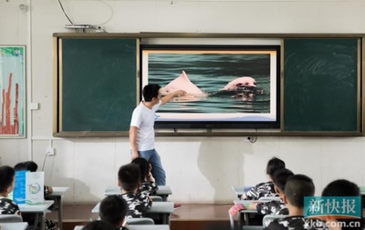 廣東自然教育蓬勃發(fā)展 逾三百陣地賦能生態(tài)文化傳播與產(chǎn)業(yè)發(fā)展