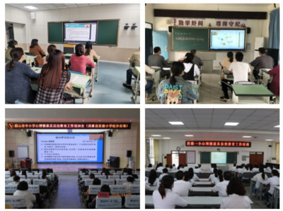 眉山市中小學心理健康與法治教育工作培訓會圓滿舉行，夯實教育文化根基